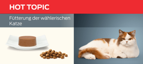 Fütterung der wählerischen Katze