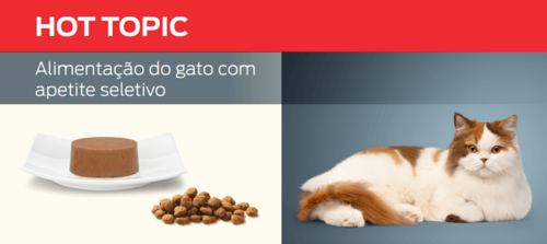 Alimentação do gato com apetite seletivo