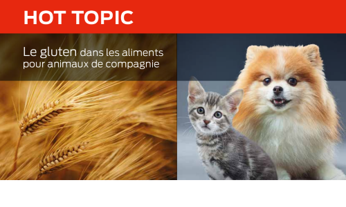 Le Gluten Dans Les Aliments Pour Animaux De Compagnie