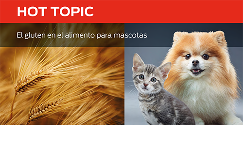 Gluten en Los Alimentos Para Mascotas