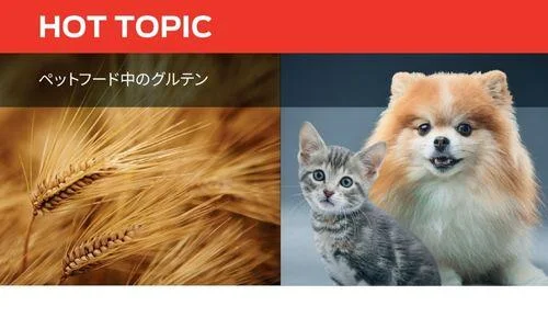 ペットフード中のグルテン 