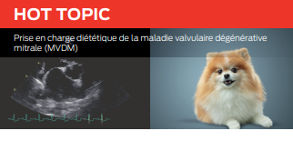 Gestion Des Régimes Alimentaires en Cas De Maladie Myxomateuse De La Valve Mitrale (MMVD)