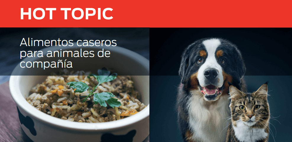 Alimentos caseros para animales de compañía