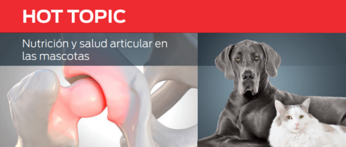 Nutrición y salud articular en las mascotas
