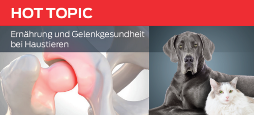 Ernährung und Gelenkgesundheit bei Haustieren