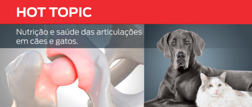 Nutrição e saúde das articulações em cães e gatos