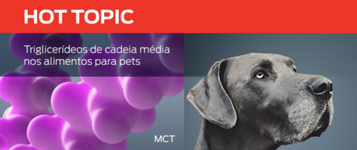 Triglicerídeos de cadeia média nos alimentos para pets