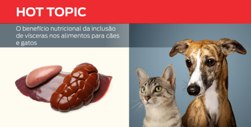 O benefício nutricional da inclusão de vísceras nos alimentos para cães e gatos