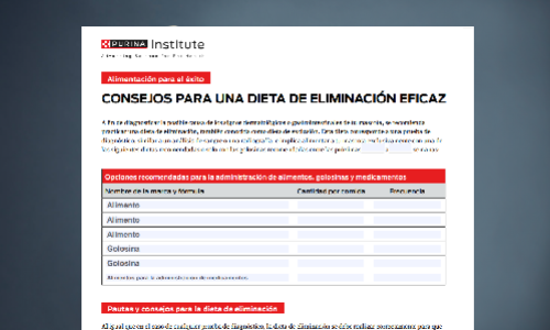 Alimentación para el éxi: Consejos para una dieta de eliminación eficaz