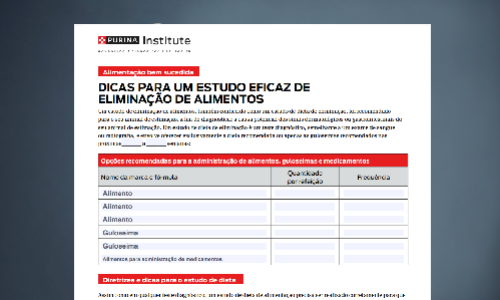 Alimentação bem sucedida: Dicas para um estudo eficaz de eliminação de alimentos