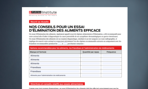 Nourrir sa réussite: Nos conseils pour un essai d'élimination des aliments efficace