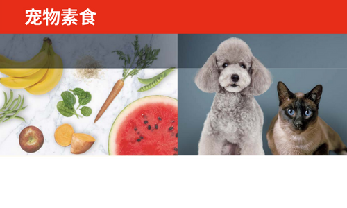 宠物素食方案