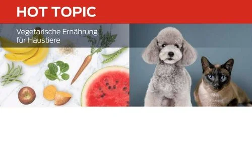 Vegetarische Ernährung für Haustiere
