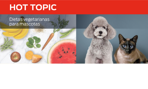 Dietas Vegetarianas Para Mascotas