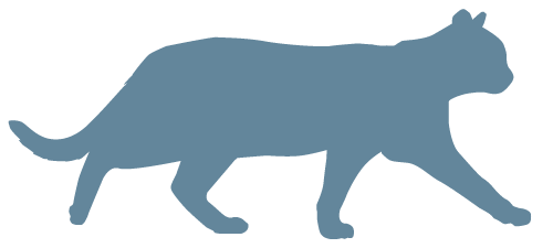 瘦体重和蛋白质猫图