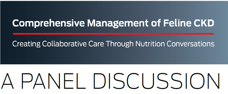 Comprehensive Management of Feline CKD: A Panel Discussion