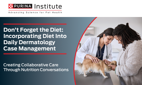 Don't Forget the Diet: Incorporating Diet into Daily Dermatology Case Management – 15 May 2025