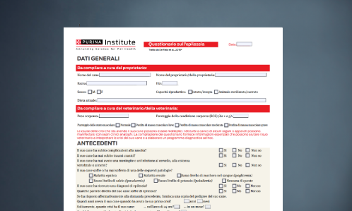 Questionario sull’epilessia