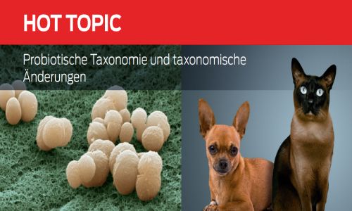 Probiotische Taxonomie und taxonomische Änderungen