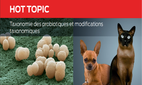 Taxonomie des probiotiques et modifications taxonomiques