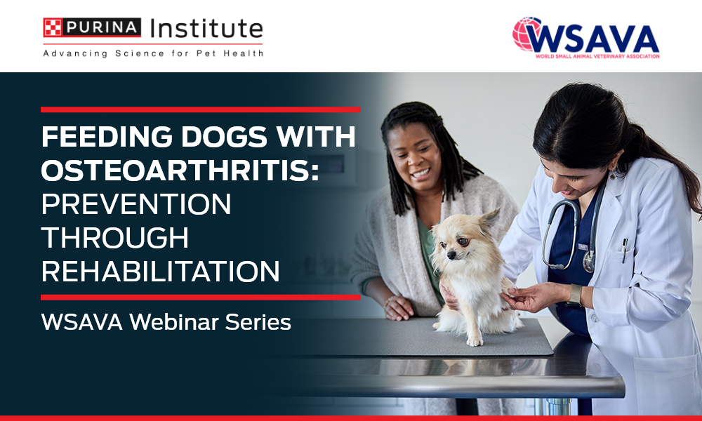 Feeding Dogs with Osteoarthritis