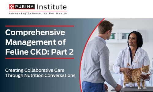 Comprehensive Management of Feline CKD: Part 2 - 17 July 2025