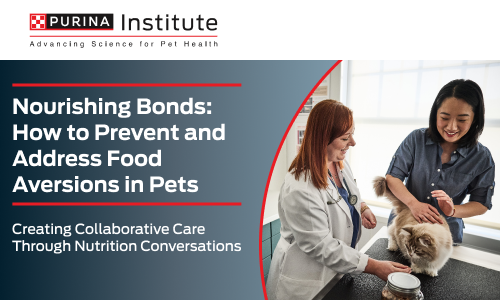 Nourishing Bonds: How to Prevent and Address Food Aversions in Pets - 4 December 2025