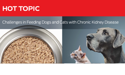 Challenges in Feeding Dogs and Cats with Chronic Kidney Disease