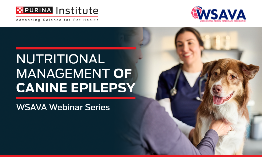 Nutritional Management of Canine Epilepsy - 19 June 2025