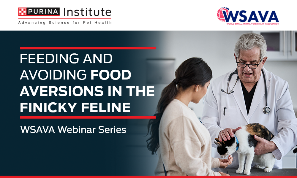Feeding and Avoiding Food Aversions in the Finicky Feline - 21 August 2025