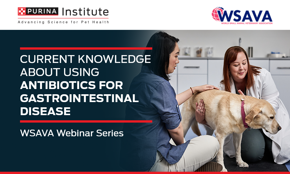 Current Knowledge About Using Antibiotics for Gastrointestinal Disease - 22 October 2025