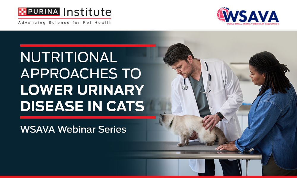 Nutritional Approaches to Lower Urinary Disease in Cats - 27 November 2025