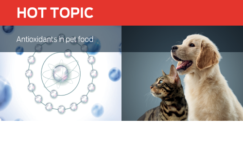 Antioxidants in Pet Foods