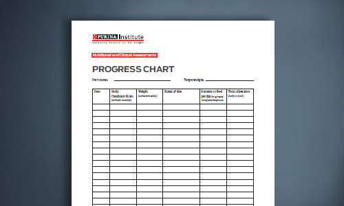 Body Condition System Progress Chart Cat