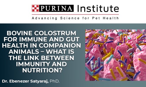 Bovine colostrum for immune and gut health in companion animals - what is the link between immunity and nutrition