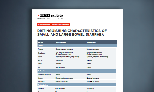 Distinguishing Characteristics of Small and Large Bowel Diarrhea Chart