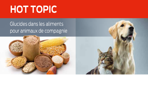 Glucides Dans Les Aliments Pour Animaux De Compagnie