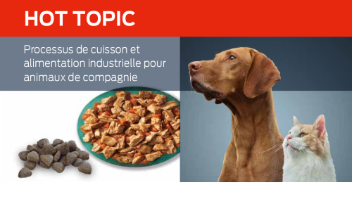 Processus De Cuisson Et Alimentation Industrielle Pour Animaux De Compagnie
