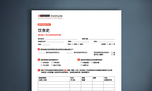 饮食历史筛查记录表