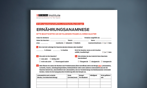 Ernährungsanamnesebogen bei der Erstuntersuchung