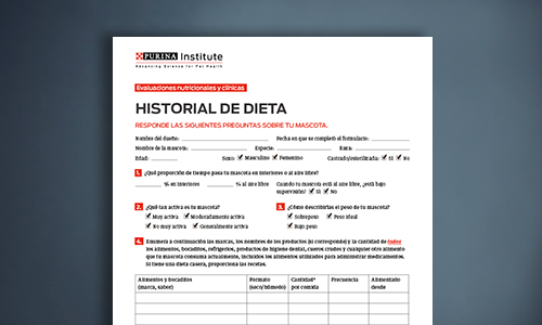 Formulario De Evaluación Del Historial De Dieta