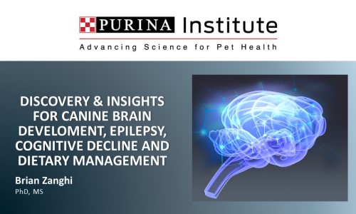 Discovery & Insights for Canine Brain Development, Epilepsy, Cognitive Decline and Dietary Management