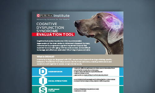 DISHAA Assessment Tool