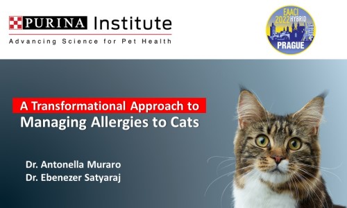A transformational approach to managing allergies to cats