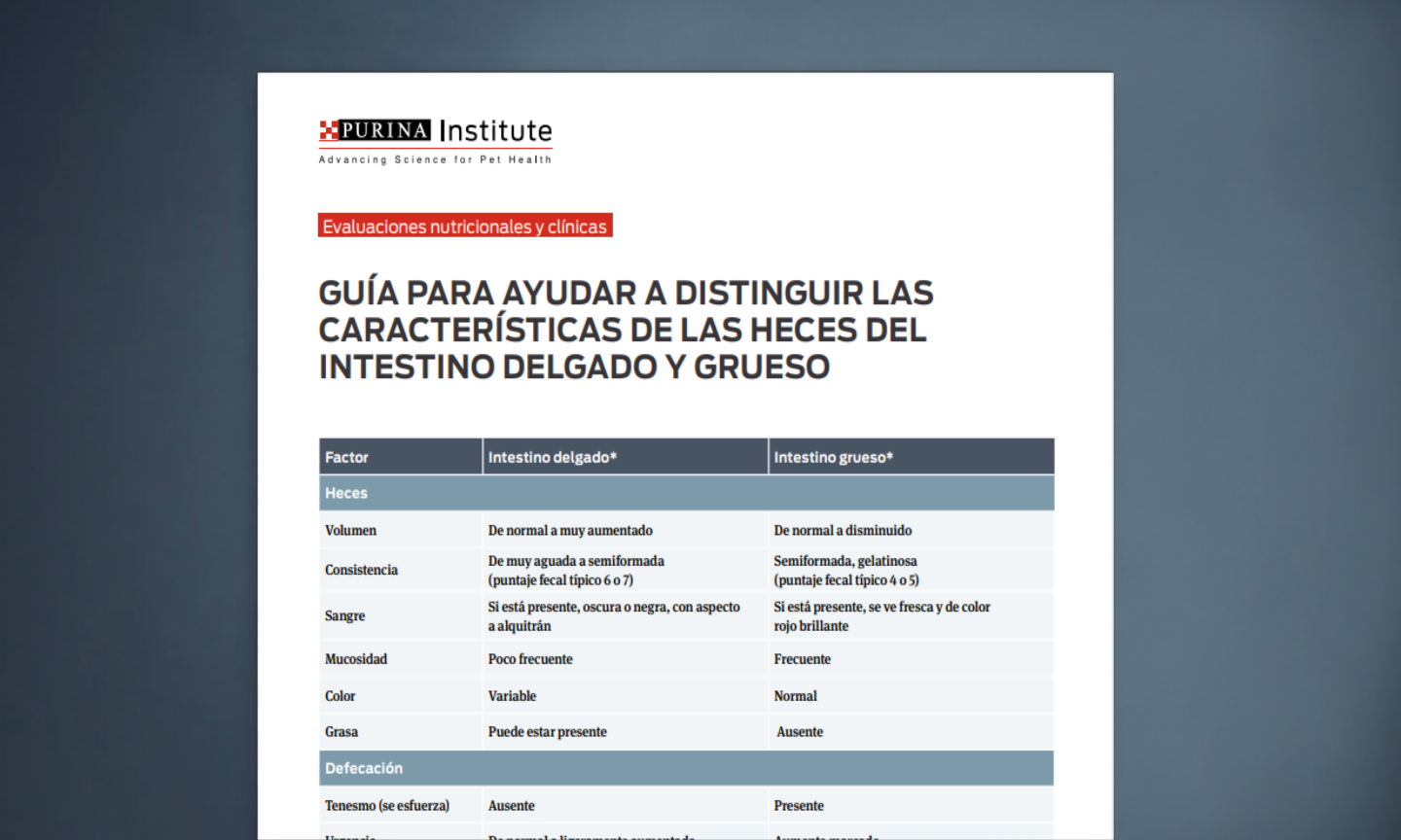 Guía Para Ayudar A Distinguir Las Características De Las Heces Del Intestino Delgado Y Grueso