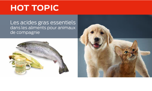 Les Acides Gras Essentiels Dans Les Aliments Pour Animaux De Compagnie