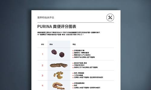 Purina 粪便评分图表