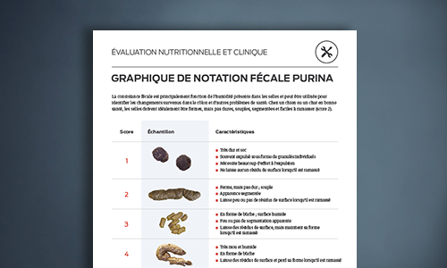 Graphique De Notation Fécale Purina