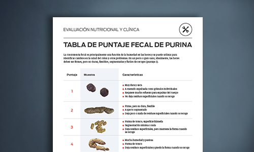 Gráfico De Pontuação Fecal Da Purina