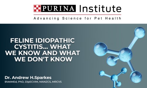 Feline idiopathic cystitis… what we know and what we don't know